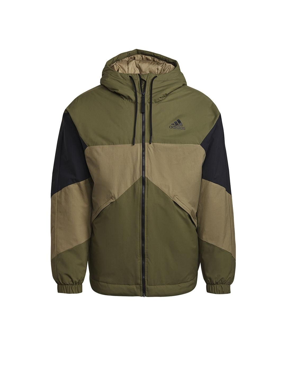 Cazadora Hombre adidas Back to Sport Verde