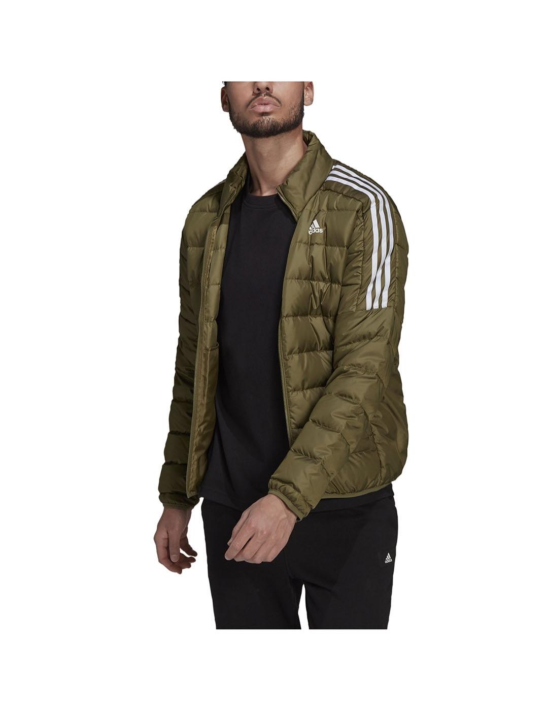 Cazadora Hombre adidas Down Verde